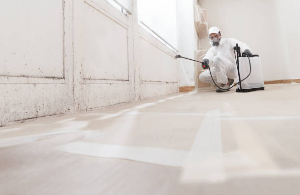 24/7 Emergency Bathroom Mold Removal experts in Benson, NC