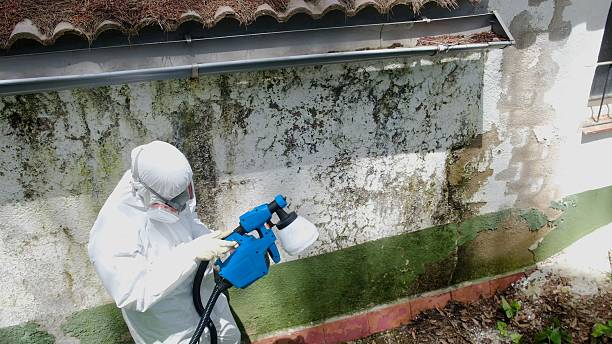 Top rated local Bathroom Mold Removal specialists in Benson, NC